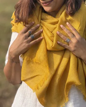 Honeyed Hearth Pure Wool Zari Shawl