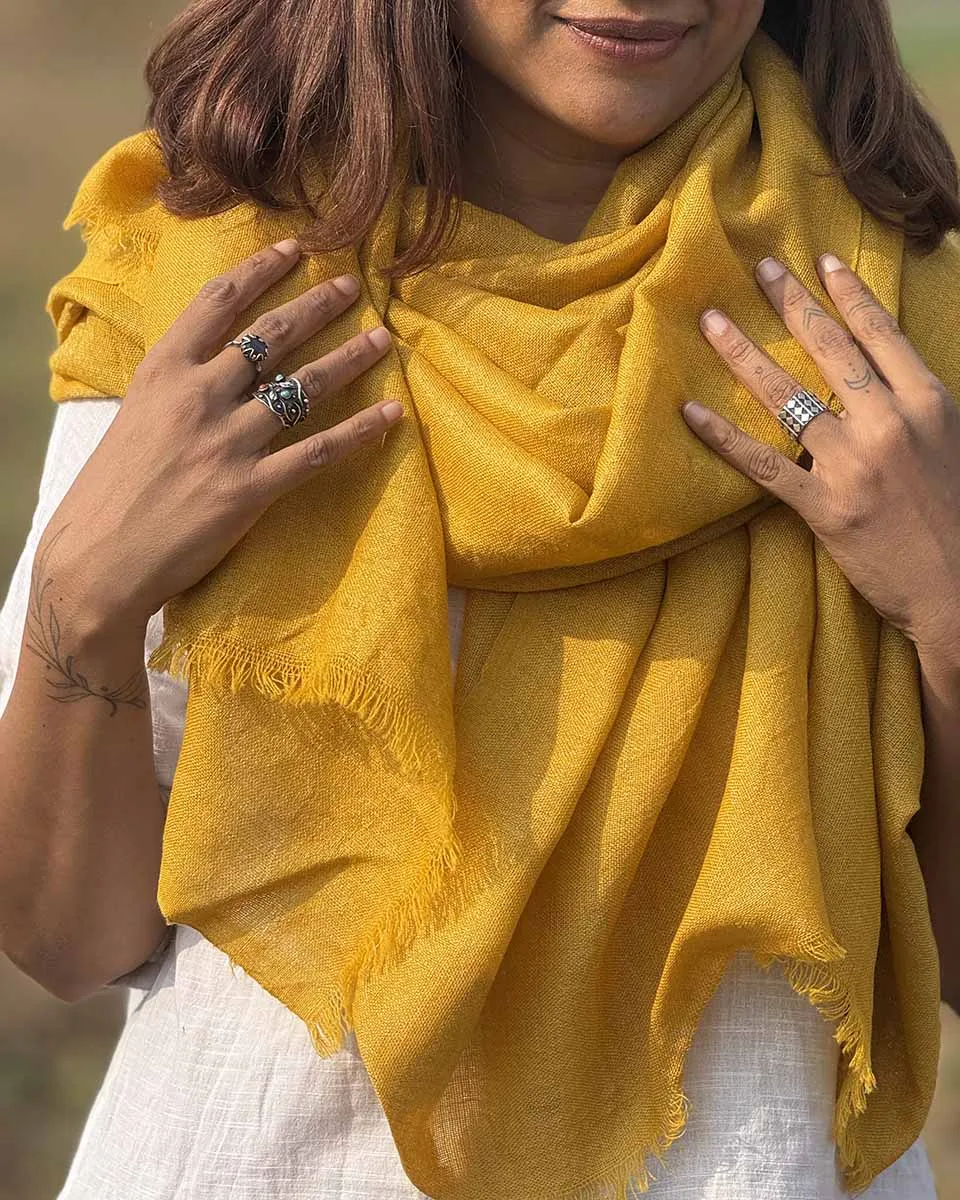 Honeyed Hearth Pure Wool Zari Shawl